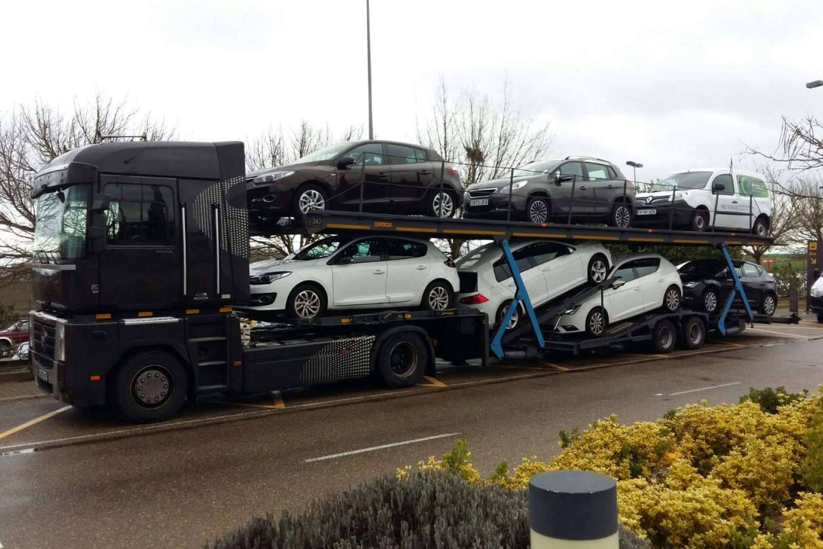 Mejora de la cadena de transporte y aumento de ganancias con la cooperativa Alicotrans