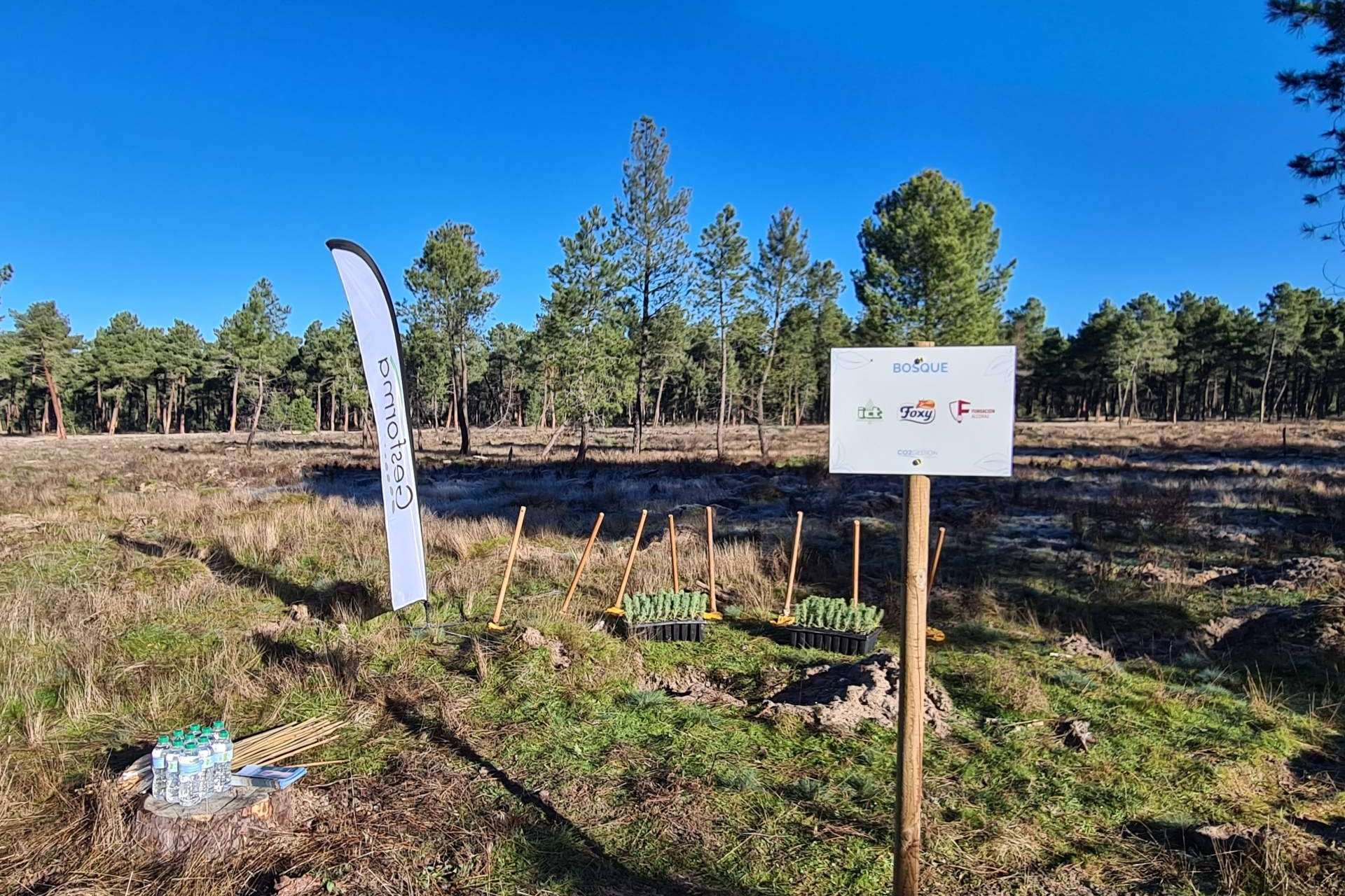 FOXY planta en Segovia su nuevo bosque