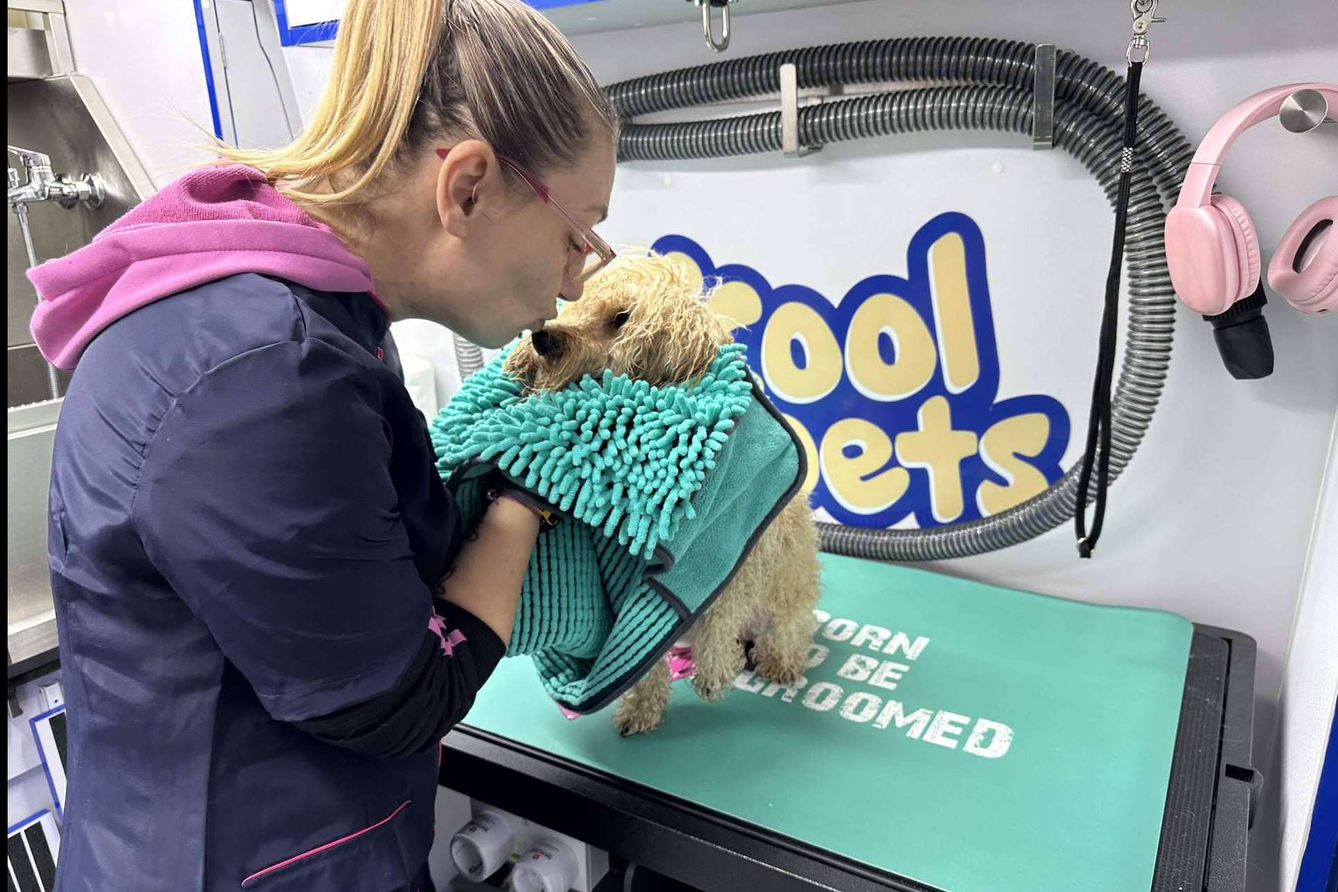 Cool Pets, una nueva dimensión en el cuidado e higiene de las mascotas