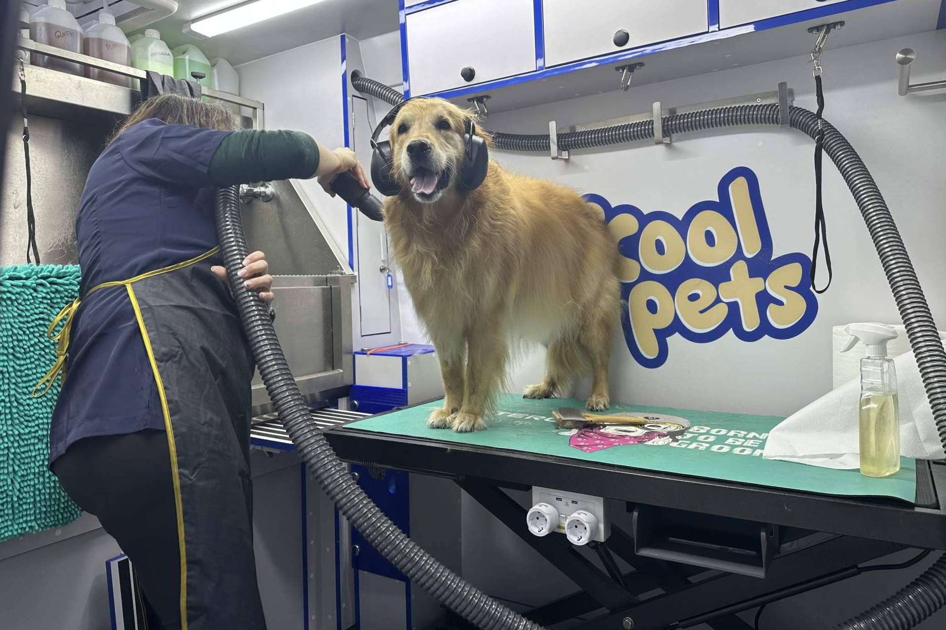 COOL PETS; La solución definitiva para el aseo e higiene de la mascota