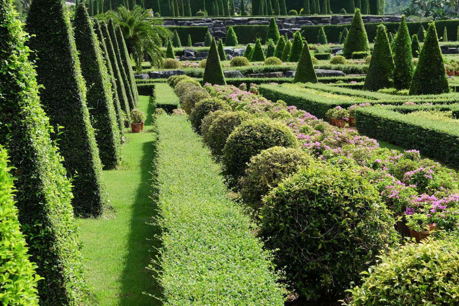 Innovación y excelencia en jardinería para una Barcelona más verde