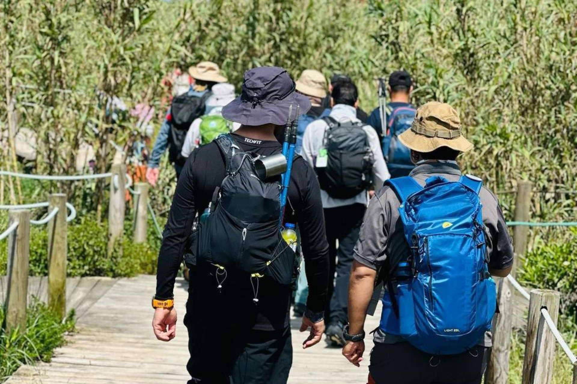 Camino de Santiago en grupo Organizado