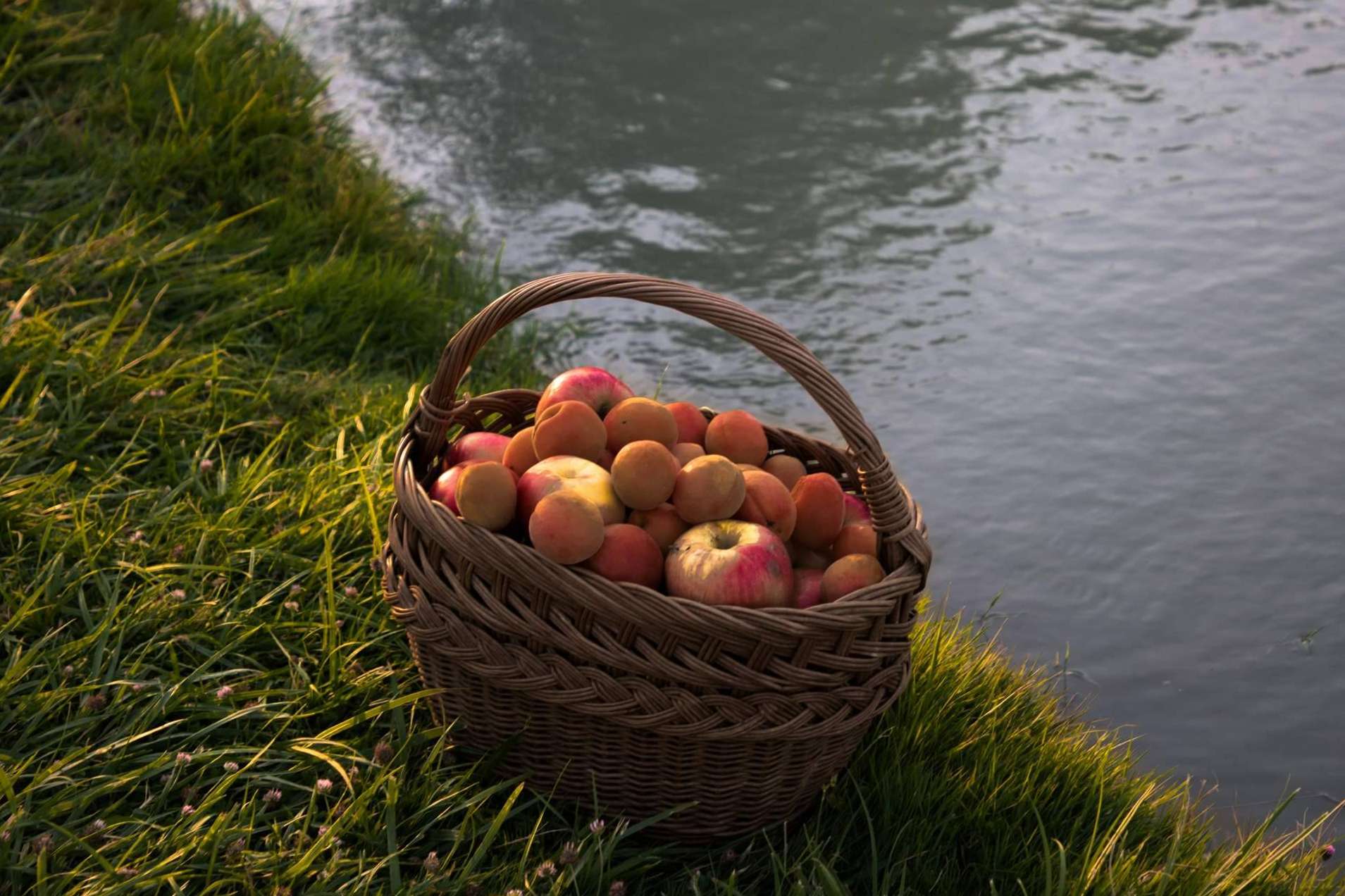 Hábitos saludables en verano; 9 trucos que sí funcionan