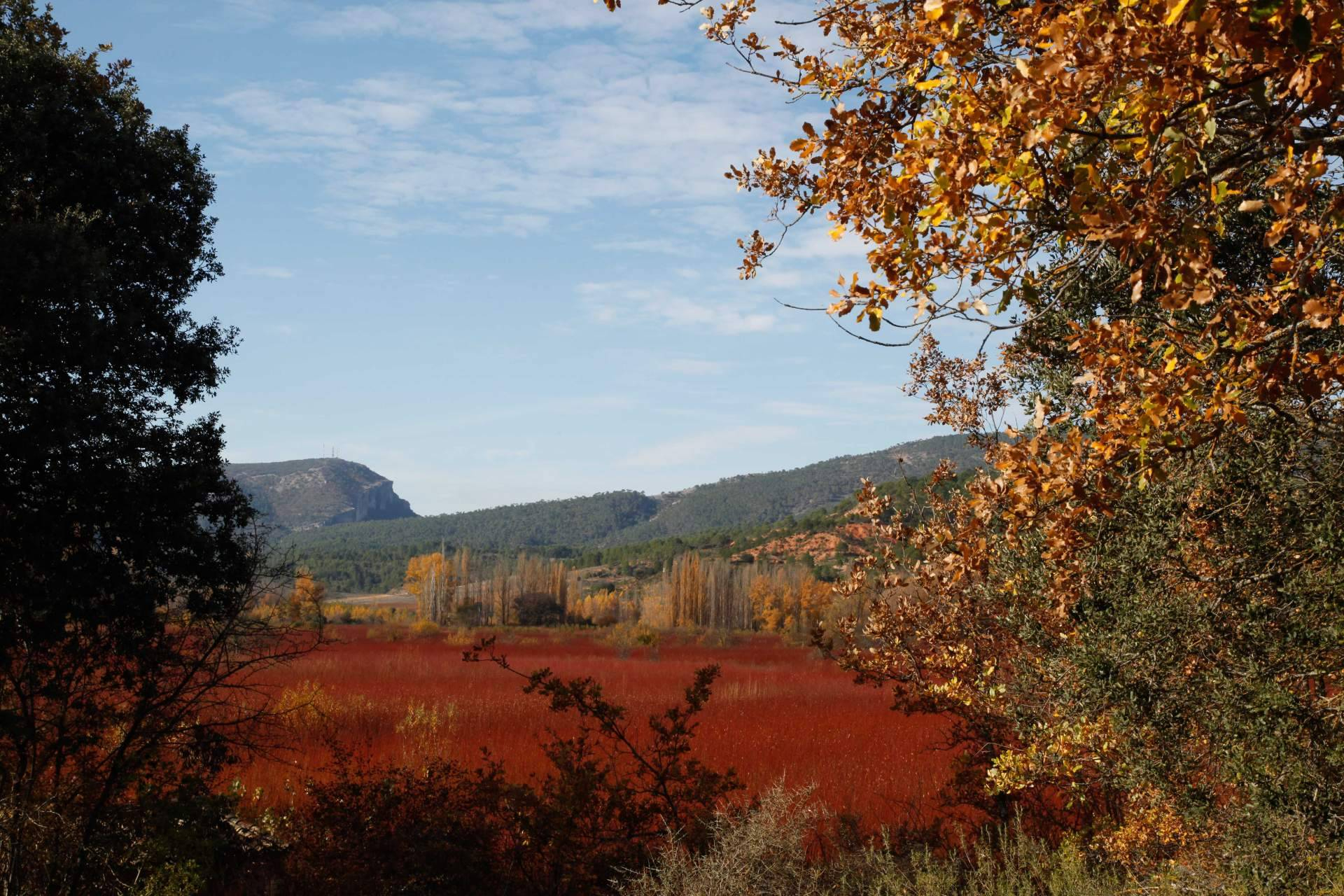 El 'Otoño Rojo' de la Serranía; Cañamares se consolida como destino fotográfico de temporada