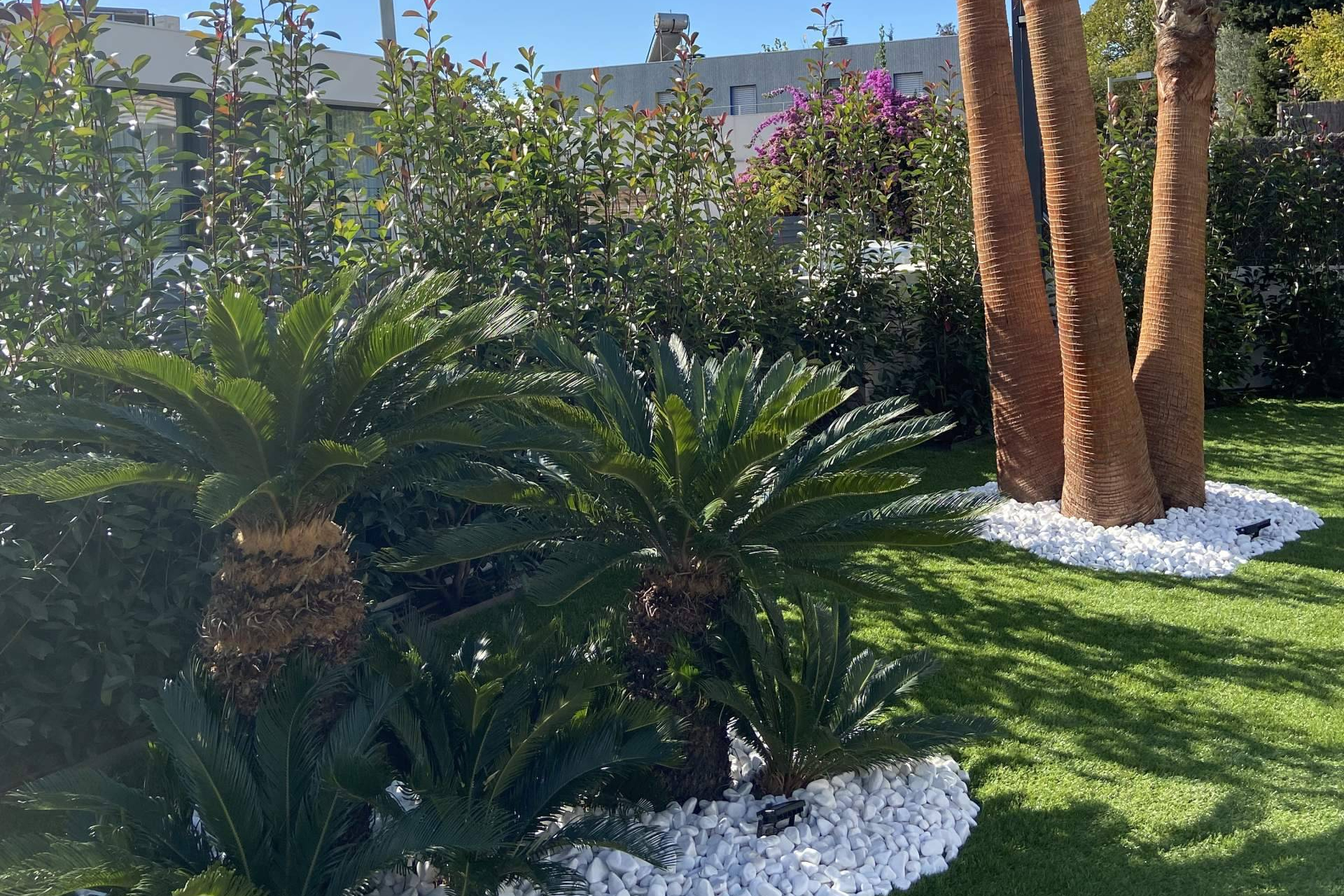Jardinería profesional en Barcelona; la clave para espacios verdes que unen estética, eficiencia y sostenibilidad