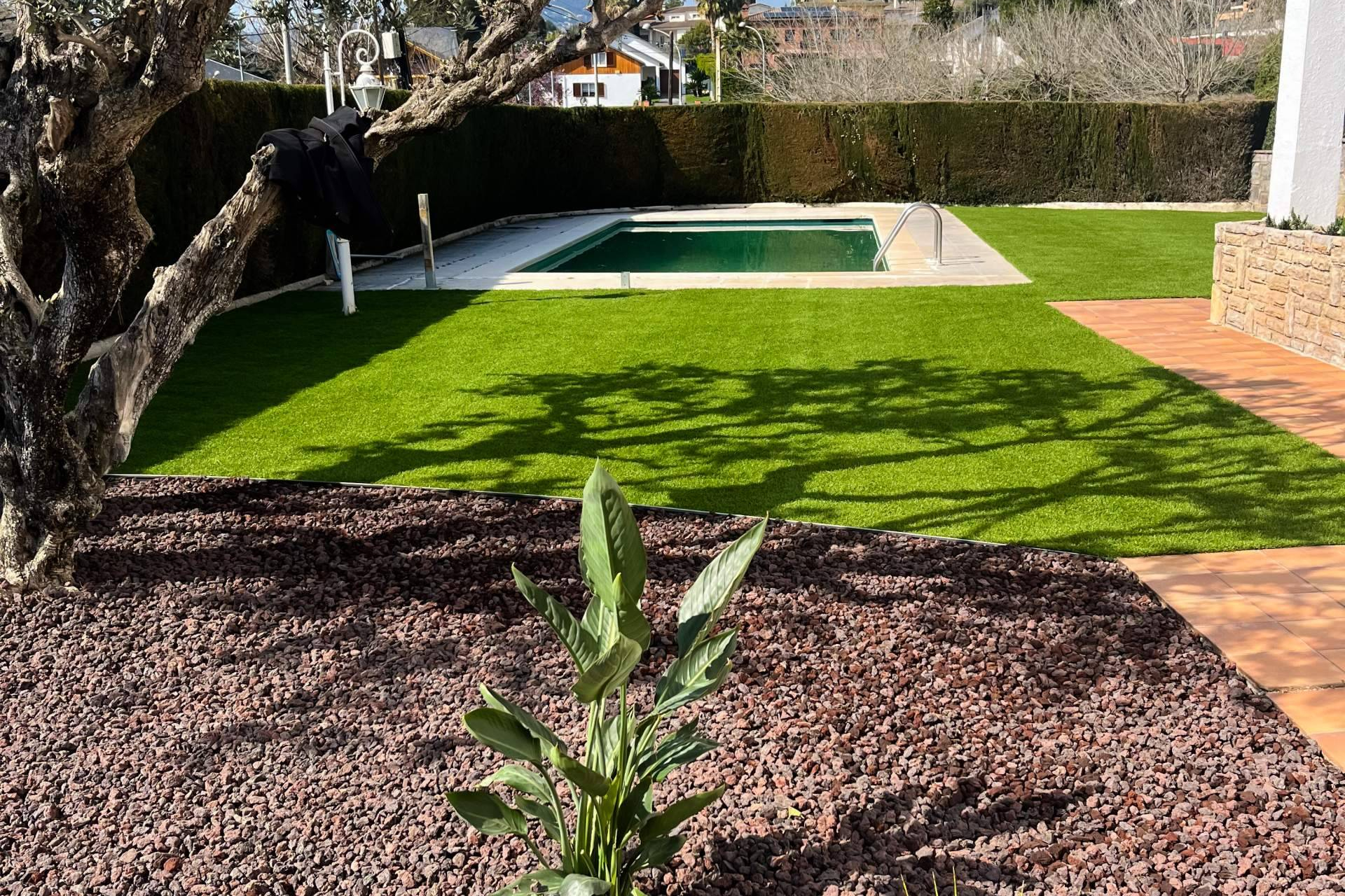 Cuando la naturaleza se diseña; la empresa de jardinería en Barcelona que está transformando espacios