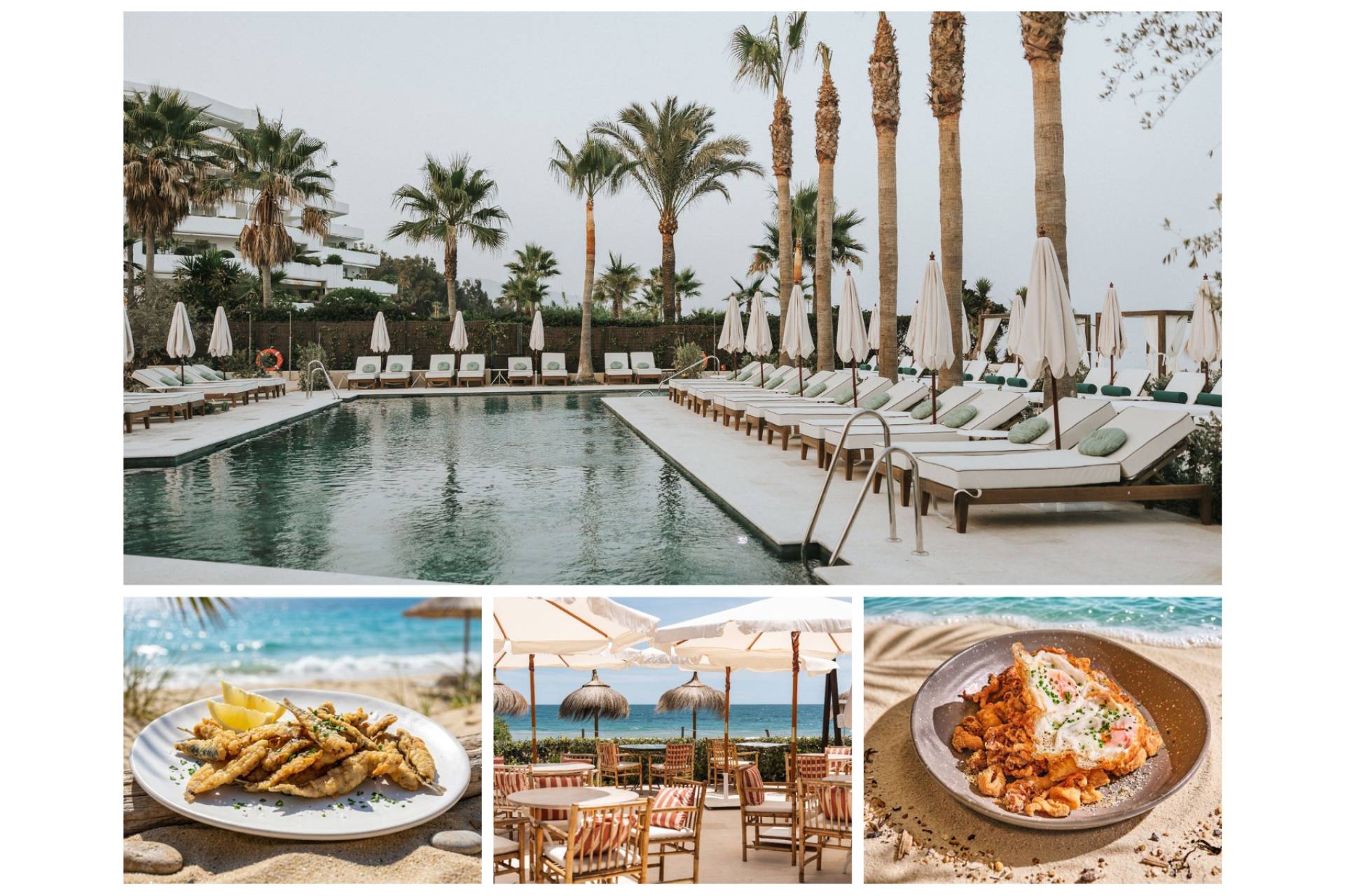 Barbillón Marbella inaugura nueva temporada frente al mar