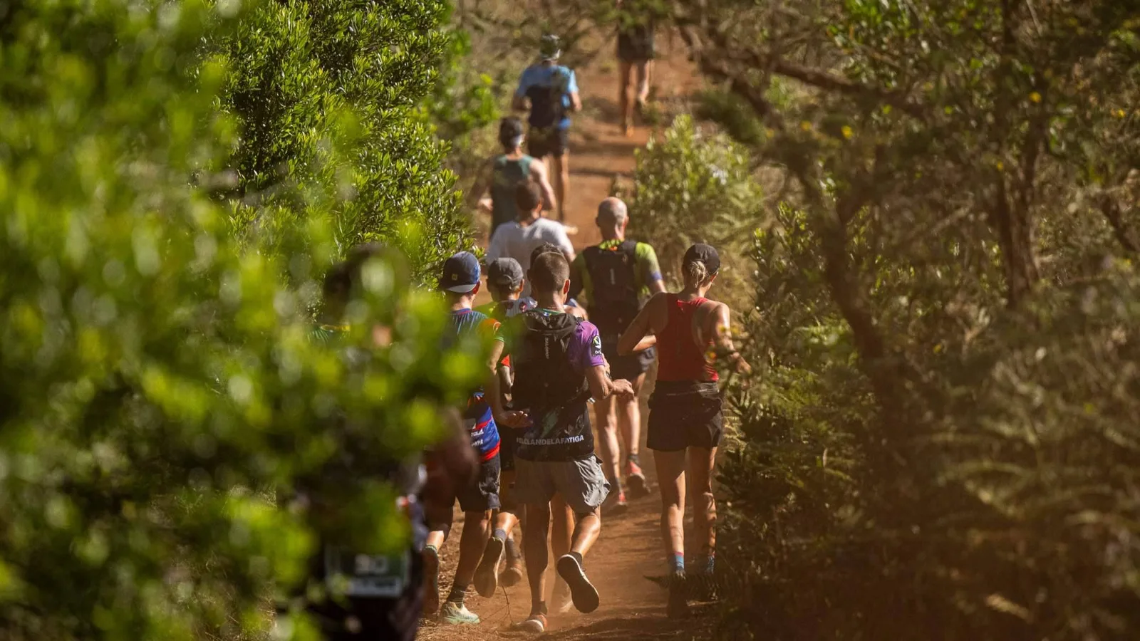La Aguas de Teror Trail estrena recorrido; las lluvias del invierno obligan a rediseñar el trazado